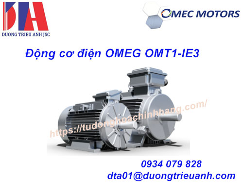 Động cơ điện OMEG OMT1-IE3-omec dai ly viet nam chinh hang