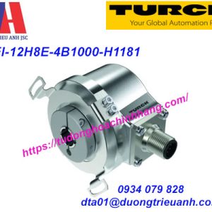 Encoder Turck REI-12H8E-4B1000-H1181 (100010503)