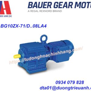 Bauer Gear Motor BG series - BG10ZX-71/D..08LA4