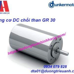 Động cơ DC chổi than Dunkermotoren GR 30