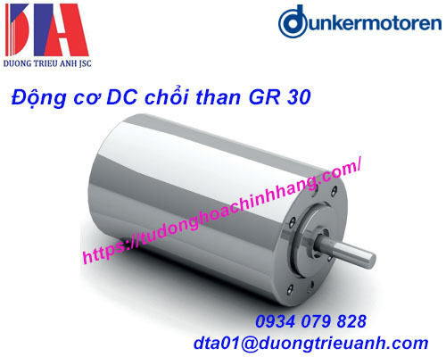 Động cơ DC chổi than Dunkermotoren GR 30