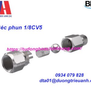 Béc phun BEX 1/8CVV5