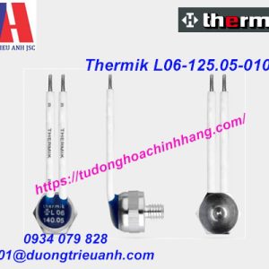 Công Tắc Bảo Vệ Thermik L06-125.05-0100
