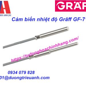 Gräff GF-7124 – Cảm Biến Nhiệt Độ RTD