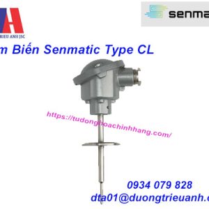 Cảm biến nhiệt điện trở Senmatic Type CL